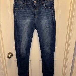 American Eagle Outfitters Dark Blue Skinny Jeans Long